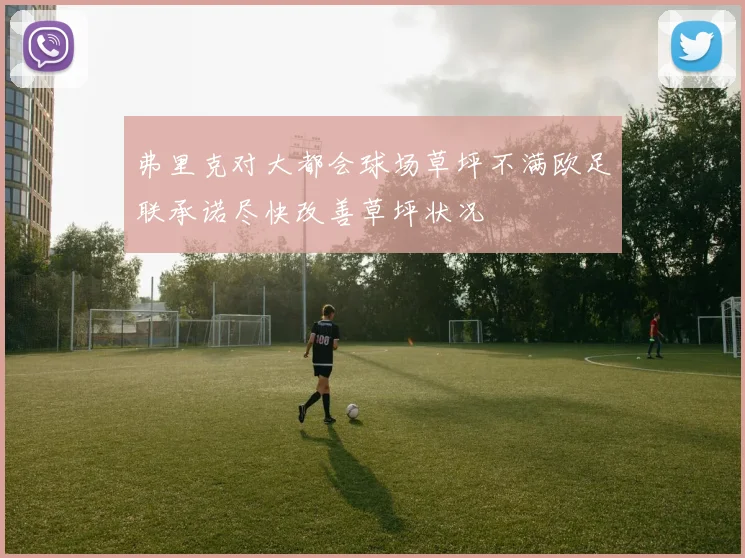 弗里克对大都会球场草坪不满欧足联承诺尽快改善草坪状况