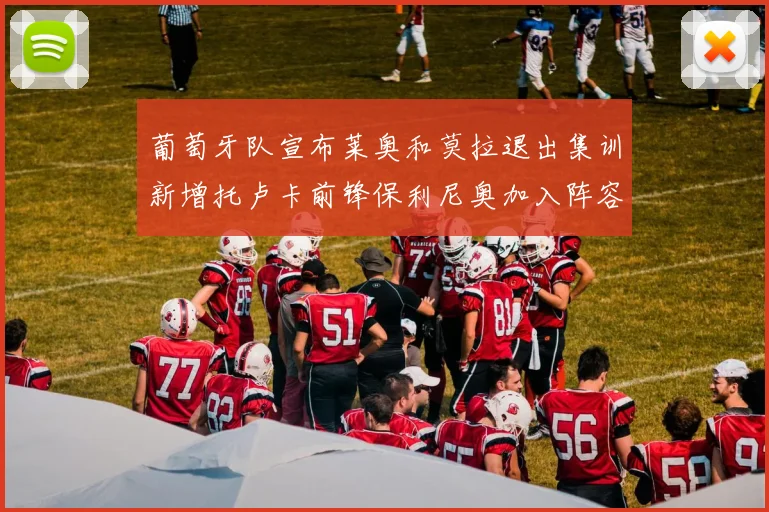 葡萄牙队宣布莱奥和莫拉退出集训新增托卢卡前锋保利尼奥加入阵容
